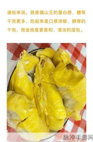日产乱码榴莲：探索日产乱码榴莲的独特风味与营养价值之旅