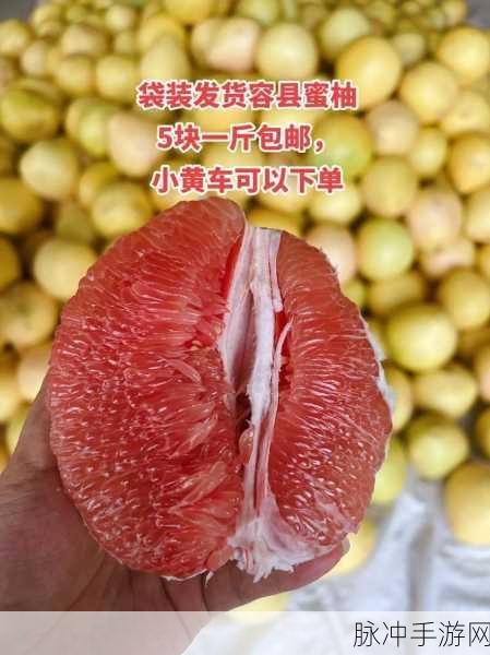 蜜柚视频app导航：探索蜜柚视频APP：精彩内容尽在掌握之中！