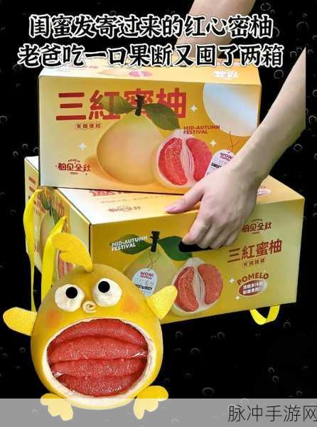 蜜柚视频app导航：探索蜜柚视频APP：精彩内容尽在掌握之中！