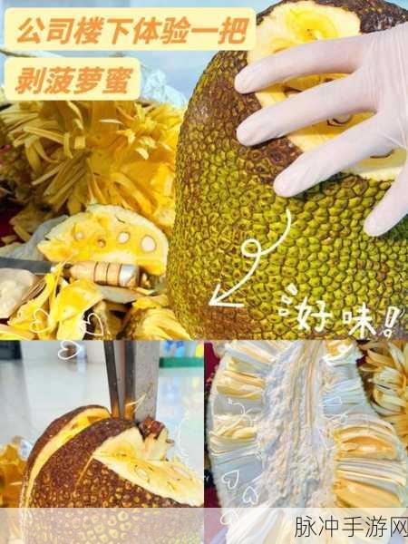 菠萝蜜影视 免费：探索拓展菠萝蜜影视的无限精彩与免费观影体验