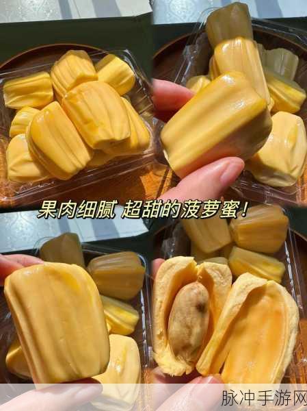菠萝蜜影视 免费：探索拓展菠萝蜜影视的无限精彩与免费观影体验