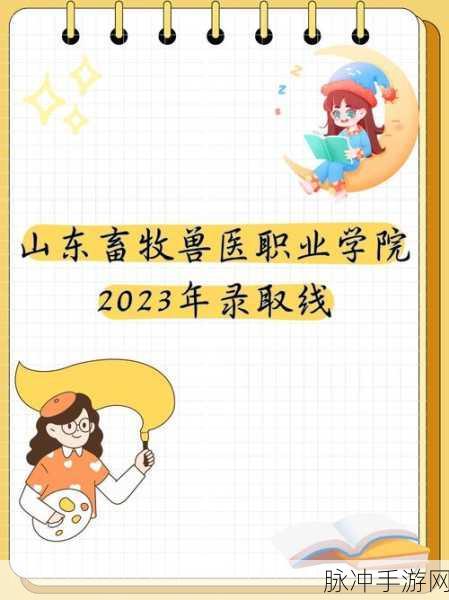 2023年四川妇女BBBB职业发展：2023年四川妇女职业发展新机遇与挑战解析