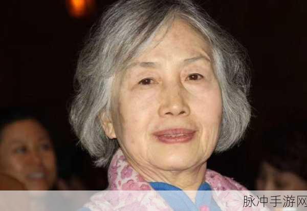 国精产品6666：探索国精产品6666的独特魅力与应用潜力
