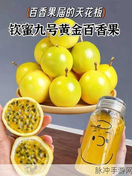 黄金网站app观看大全3.0：全新升级的黄金网站APP观看资源大全3.0版本，尽享丰富内容！