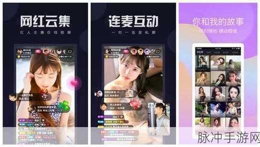 向日葵视频污版ios站长统计：探索向日葵视频污版iOS站长的全新统计数据与分析方法