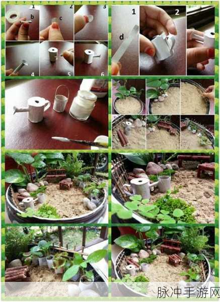 亲小花园的技巧和方法：打造迷你花园的创意技巧与实用方法分享