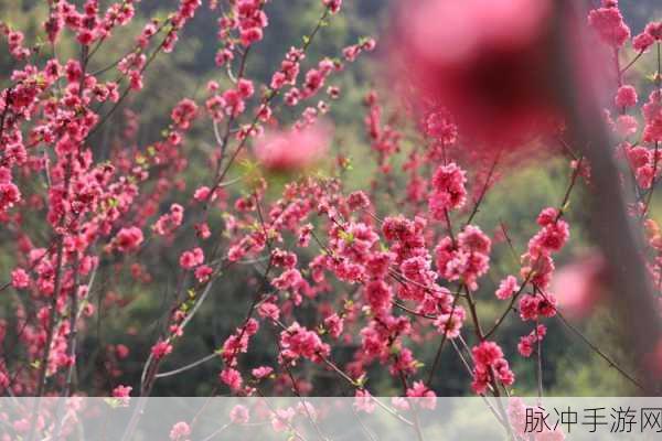 zztt32.ccm黑料不打烊:zztt32.ccm:黑料不断更新,精彩内容不容错过