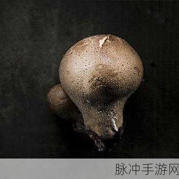 蘑菇视频红色logo黑色背景：“探索蘑菇视频：黑色背景下的红色视觉盛宴”