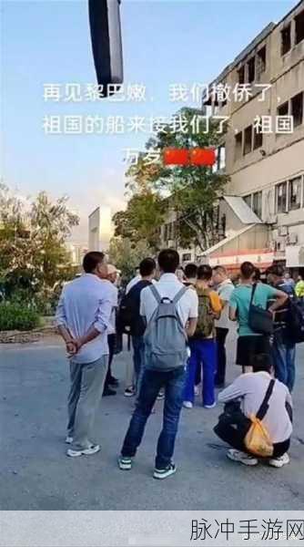 暴躁大妈荒野逃生k9：暴躁大妈的荒野逃生之旅：K9狗队勇闯险境