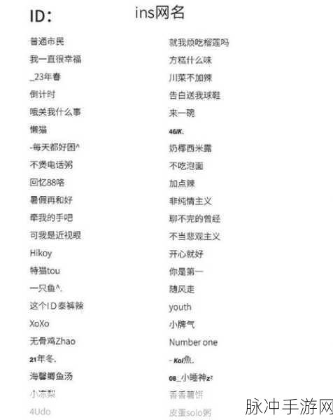 17c最新地域网名是啥：探索17c最新地域网名：揭示新时代的网络文化新风尚