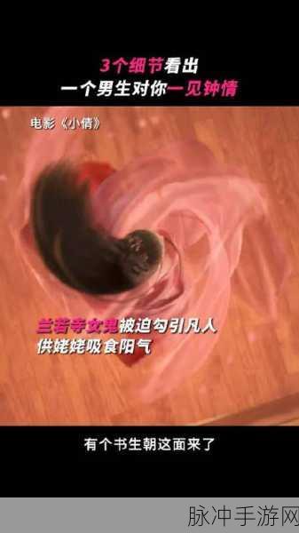 青娱乐一极品视频盛宴：青娱乐带你畅享精彩视频盛宴，尽享视听盛况！