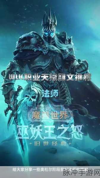 魔兽世界wlk武器战雕文：魔兽世界WLK武器战雕文全面解析与玩法指南