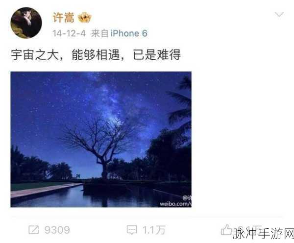 许嵩歌曲的版权是自己的还是公司的：许嵩歌曲的版权归属问题：个人与公司的关系探讨
