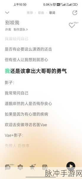 许嵩歌曲的版权是自己的还是公司的：许嵩歌曲的版权归属问题：个人与公司的关系探讨