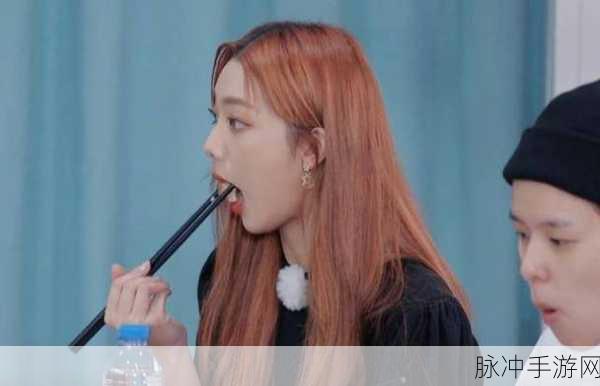 火箭少女吃：火箭少女的美食探秘之旅：吃遍天下，分享快乐