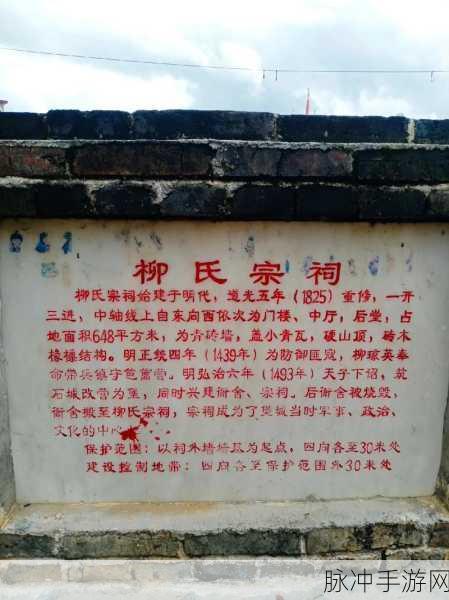 香蕉视频笆版：探索香蕉视频笆版的无限可能，尽享视听盛宴与精彩内容！