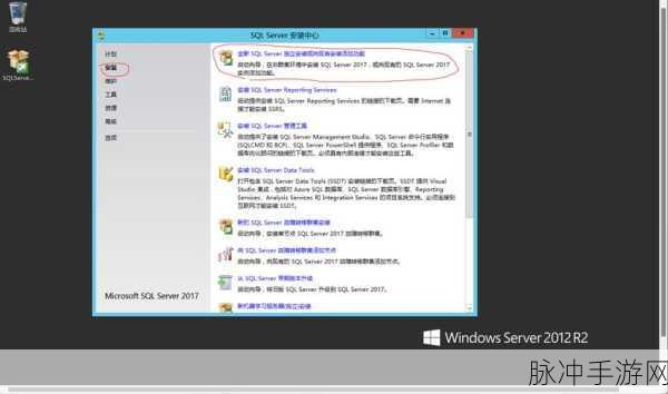 国产vpswindows精品：全面提升国产VPS Windows服务质量，助力企业数字化转型
