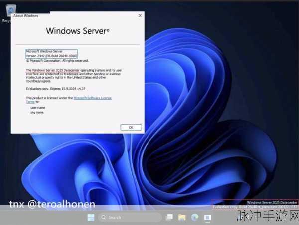 日本windowsserver分类：深入探讨日本Windows Server的多样化分类与应用场景
