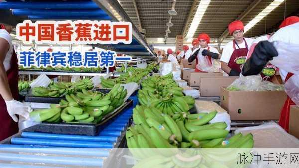 香蕉视频app仺：畅享香蕉视频：带你探索无限精彩的视听世界