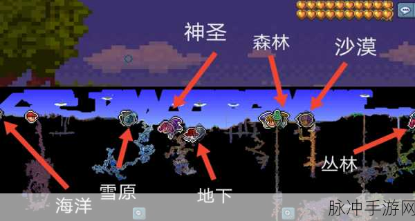 泰拉瑞亚晶塔npc分配：泰拉瑞亚晶塔npc分配攻略与最佳布局解析