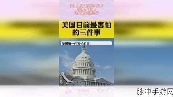 蘑菇网黑料爆料视频：揭秘拓展蘑菇网背后的黑料与真相，绝对不容错过！