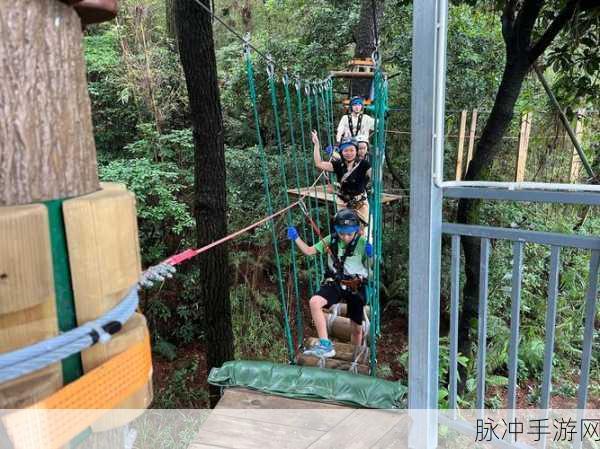 欧美精品一卡2卡3卡4卡新区乱码：欧美精品一卡二卡三区四区全新解锁体验，畅享无限可能！