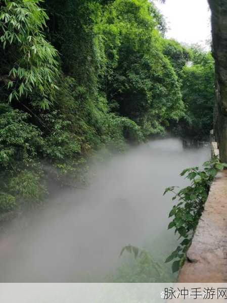蜜芽最新区域2021在线观看：2021年拓展蜜芽新区域精彩内容在线观看，尽享无限乐趣！