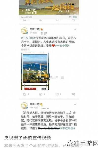 www.黑料网：探索黑料网：揭秘网络背后的不为人知的秘密与故事