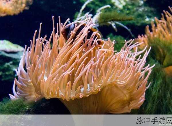 香蕉海葵鲍鱼绿巨人茄子：探索香蕉海葵与鲍鱼的奇妙世界，揭开绿巨人茄子的神秘面纱