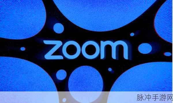 ZOOMSERVO美国：推动ZOOMSERVO在美国市场的全面扩展与创新发展策略