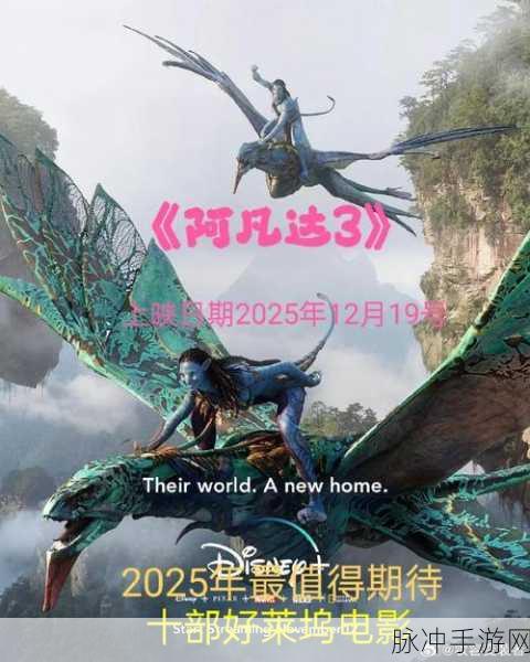万利达午夜影院：探秘万利达午夜影院：夜幕下的电影狂欢之旅