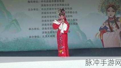 公与淑婷厨房猛烈进出演员表：公与淑婷厨房的激情碰撞：演员阵容大揭秘