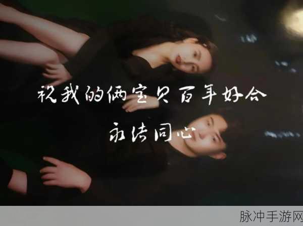 公与淑婷厨房猛烈进出演员表：公与淑婷厨房的激情碰撞：演员阵容大揭秘