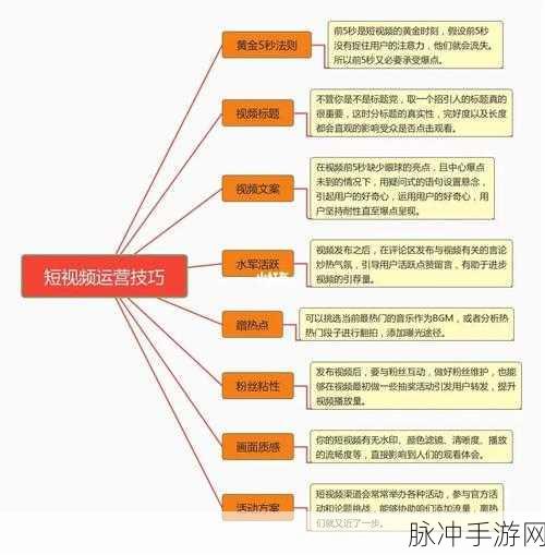 成品短视频代码推荐大全：全面解析成品短视频代码推荐及应用技巧大全