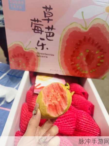 草莓视频芭乐十八：畅享草莓视频：芭乐十八带你探索新视界