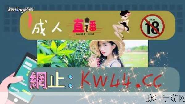 搞机搞机time恶心网不要钱：“畅享无限乐趣，搞机无忧不花钱的恶心网体验！”