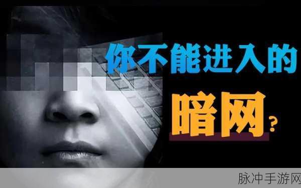 51吃瓜暗网：探秘51吃瓜暗网：揭开隐藏在网络深处的神秘面纱