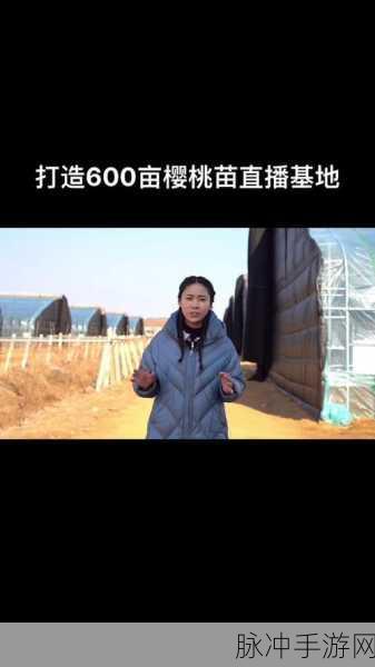 樱桃直播黄色：樱桃直播：探索激情与娱乐的全新体验之旅