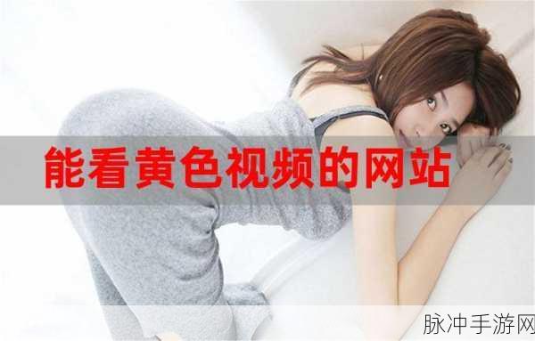 spitbill黄色网站：探索Spitbill：分享与互动的全新黄色娱乐社区体验