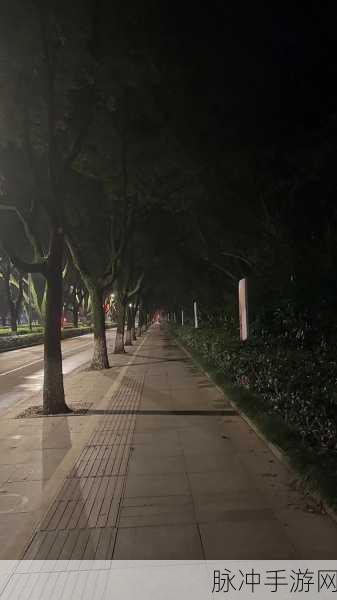 506寝室的灯灭了以后：506寝室的灯熄灭后，思绪在黑暗中游荡。
