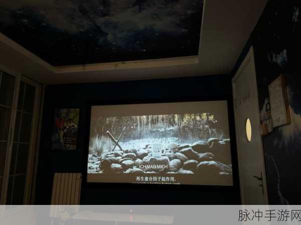5577家庭影院：探索5577家庭影院的无限可能，创造独特视听体验