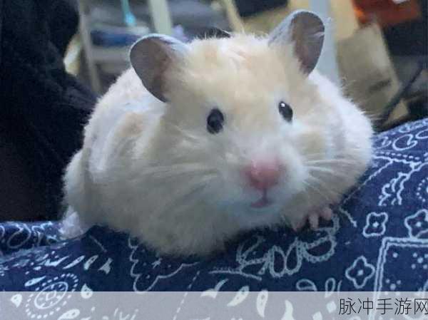 二人生孩子全程不盖被子：二人孕育新生命，温暖全程无被子陪伴