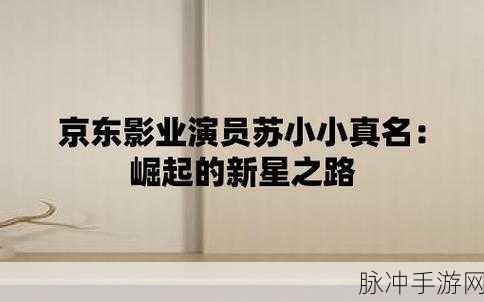 京东影业jd008苏小小紧急出差：京东影业jd008：苏小小紧急出差探秘商业真相