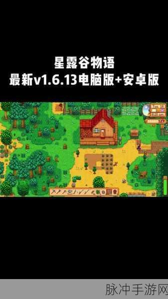 switch星露谷物语更新了吗：《星露谷物语》Switch版最新更新内容详解与新玩法介绍