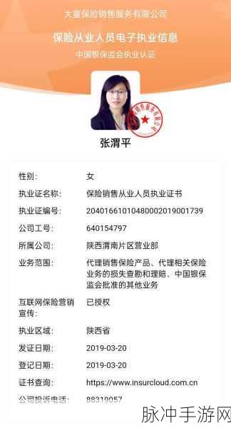 特殊的保险销售员2：“独特魅力与专业知识并存的保险销售员”