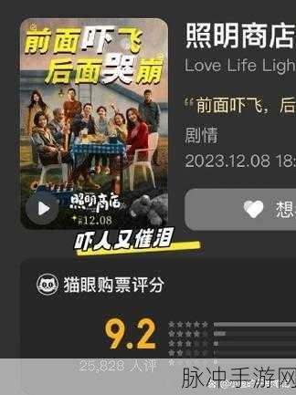 SNH48暴风雨之夜：SNH48暴风雨之夜：追梦旅程中的坚韧与希望