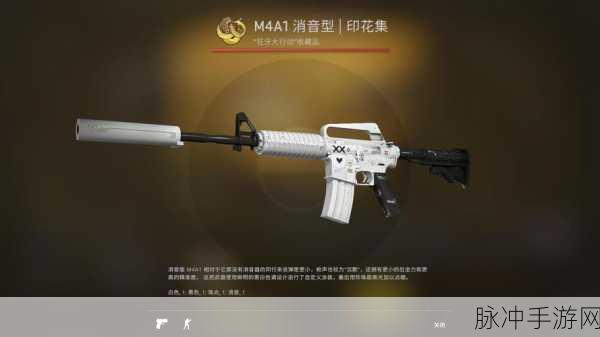 日本csgo大姐姐awp多少钱：日本大姐姐CSGO AWP定价揭秘，心动不如行动！