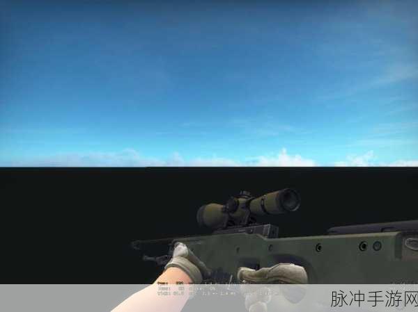 日本csgo大姐姐awp多少钱：日本大姐姐CSGO AWP定价揭秘，心动不如行动！
