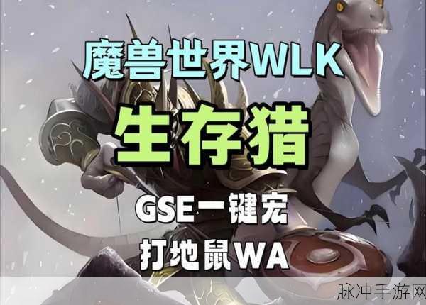 生存猎人输出宏：生存猎人输出宏全面优化技巧与实战分享