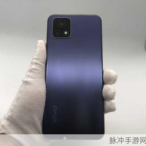 成色好的y31s标准版免费：全新拓展版Y31s标准版，性能卓越助你畅享生活！